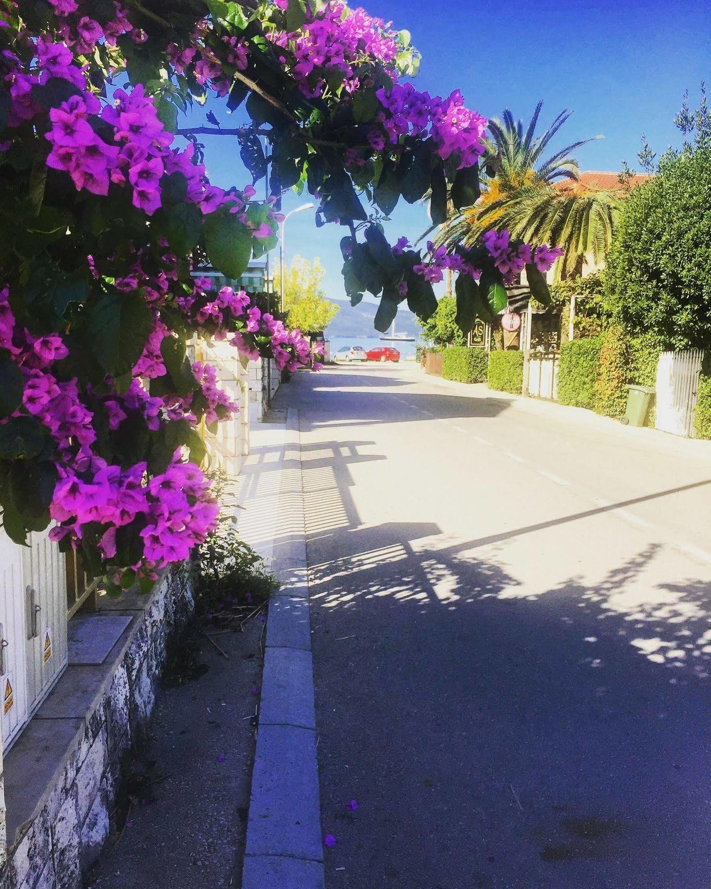Hotel Splendido Bay Teodo Esterno foto